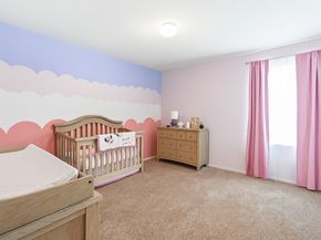 11507 Castle Nugent Court, Conroe TX 77304