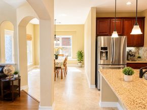 25206 Bristlecone Pine Lane, Spring TX 77389