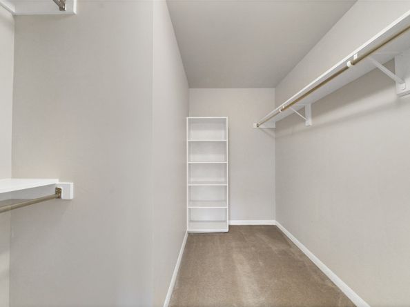 2001 Holcombe Boulevard 404, Houston TX 77030