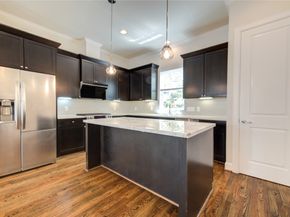 10 Hermann Park Court, Houston TX 77021