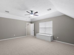 31 Trilling Bird Place, The Woodlands TX 77384