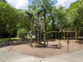 31 Trilling Bird Place, The Woodlands TX 77384