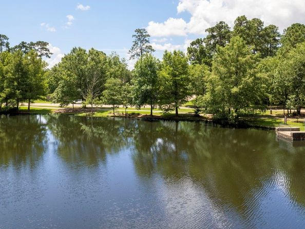 31 Trilling Bird Place, The Woodlands TX 77384