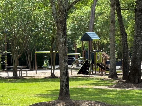 31 Trilling Bird Place, The Woodlands TX 77384