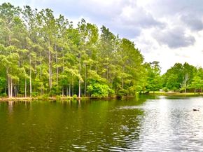 31 Trilling Bird Place, The Woodlands TX 77384