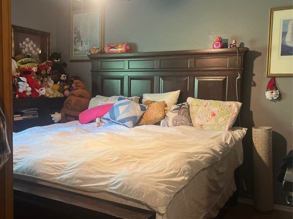 11733 Knotty Pine Trail, Houston TX 77050