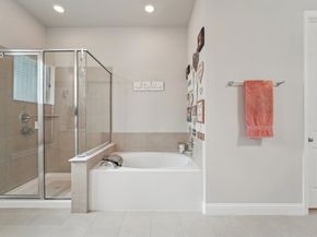 10029 Red Beadtree Place, Conroe TX 77385