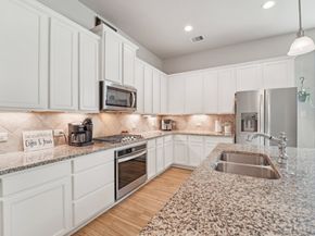10029 Red Beadtree Place, Conroe TX 77385