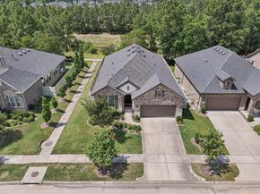 10029 Red Beadtree Place, Conroe TX 77385