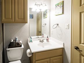 62 N Emory Bend Place, Shenandoah TX 77381