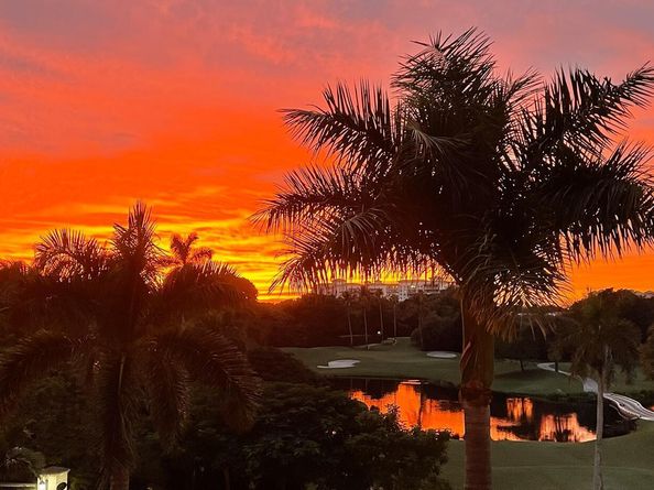 300 SE 5th Avenue 4150, Boca Raton FL 33432