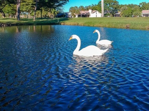 5231 Fairway Woods Drive 3311, Delray Beach FL 33484