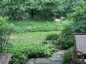 3539 Martha Custis Drive, Alexandria VA 22302