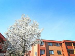 1509 S George Mason Drive 21, Arlington VA 22204