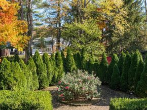 621 Great Springs Road, Bryn Mawr PA 19010