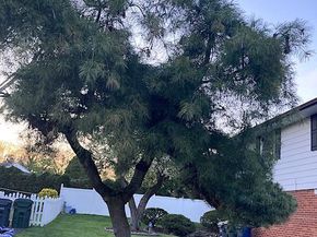 1180 Ballytore Road, Huntingdon Valley PA 19006