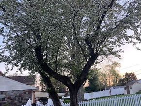1180 Ballytore Road, Huntingdon Valley PA 19006