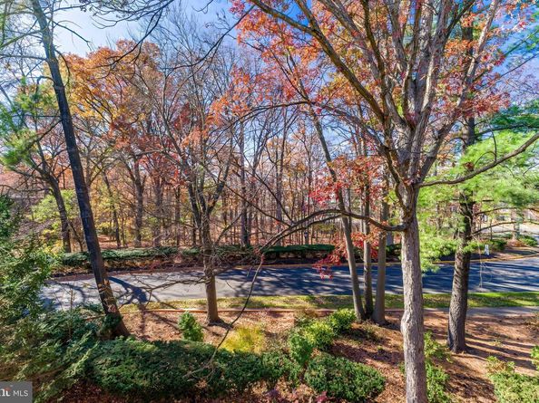 1623 Parkcrest Circle 9B/300, Reston VA 20190