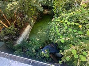 12 Shawmont Avenue, Philadelphia PA 19128