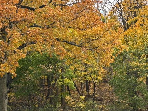 3900 Ford Road 2G, Philadelphia PA 19131