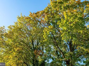 109 Carpenter Lane, Philadelphia PA 19119