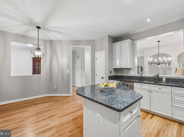 1919 Logan Manor Drive, Reston VA 20190