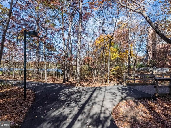 1919 Logan Manor Drive, Reston VA 20190