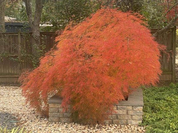 7822 Holmes Run Drive, Falls Church VA 22042