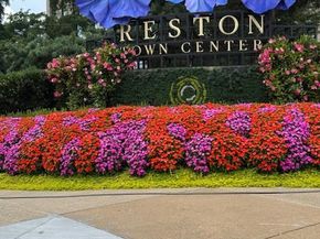 1617 Purple Sage Drive, Reston VA 20194