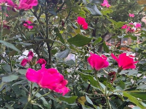 5011 Pentridge Street, Philadelphia PA 19143