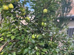 5011 Pentridge Street, Philadelphia PA 19143