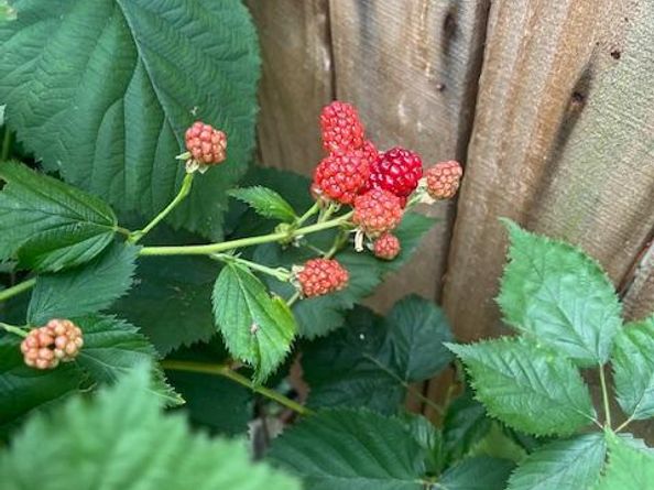 5011 Pentridge Street, Philadelphia PA 19143