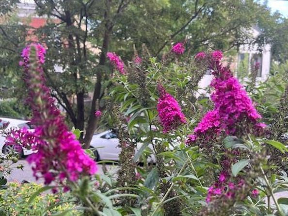 5011 Pentridge Street, Philadelphia PA 19143