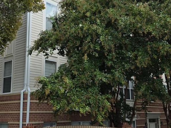 9490 Virginia Center Boulevard 127, Vienna VA 22181