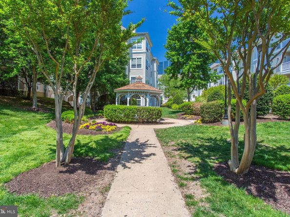 4561 Strutfield Lane 3414, Alexandria VA 22311