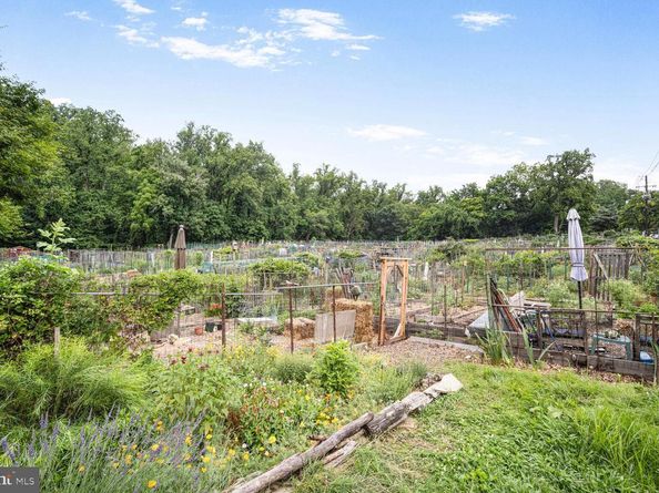 4114 Davis Place NW 311, Washington DC 20007