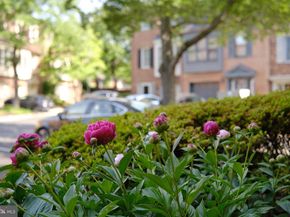 3816 Usher Court, Alexandria VA 22304
