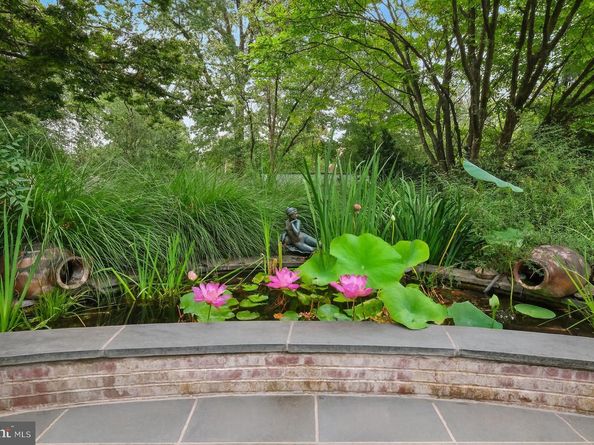 3612 Chesapeake Street NW, Washington DC 20008