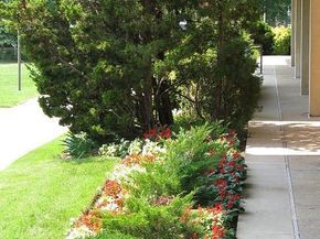 490 M Street SW W705 & 709, Washington DC 20024