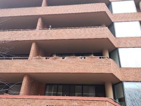 2141 P Street NW 202, Washington DC 20037