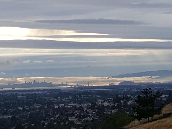 2421 Crestview Ct, San Leandro CA 94578