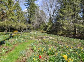 135 & 129 Zaccheus Mead Lane, Greenwich CT 06831
