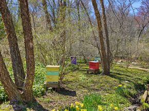 135 & 129 Zaccheus Mead Lane, Greenwich CT 06831