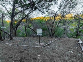 9201 Silver Pine Cv, Austin TX 78733