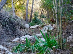 9201 Silver Pine Cv, Austin TX 78733