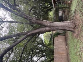 Undisclosed Address #4250099, Austin TX 78744