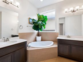 12528 Cardinal Flower DR, Austin TX 78739