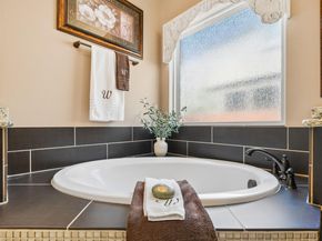 3012 Wedgescale PASS, Leander TX 78641