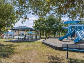 18817 Star Gazer WAY, Pflugerville TX 78660
