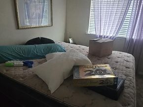 4527 Kind WAY 231, Austin TX 78725